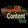 Content Management - Im Spannungsfeld von WCM, CM und ECM